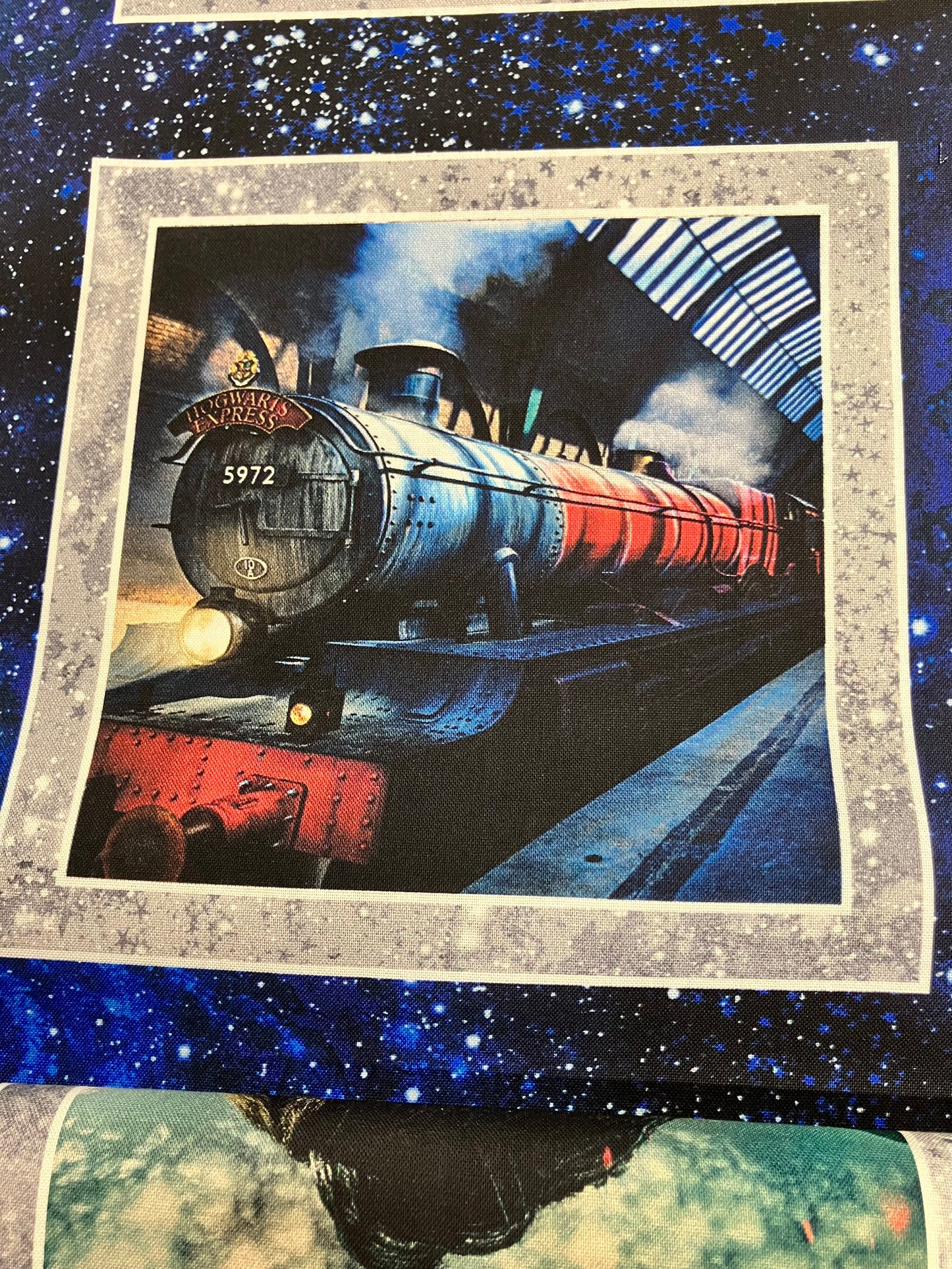 Harry Potter - Cotton Panel