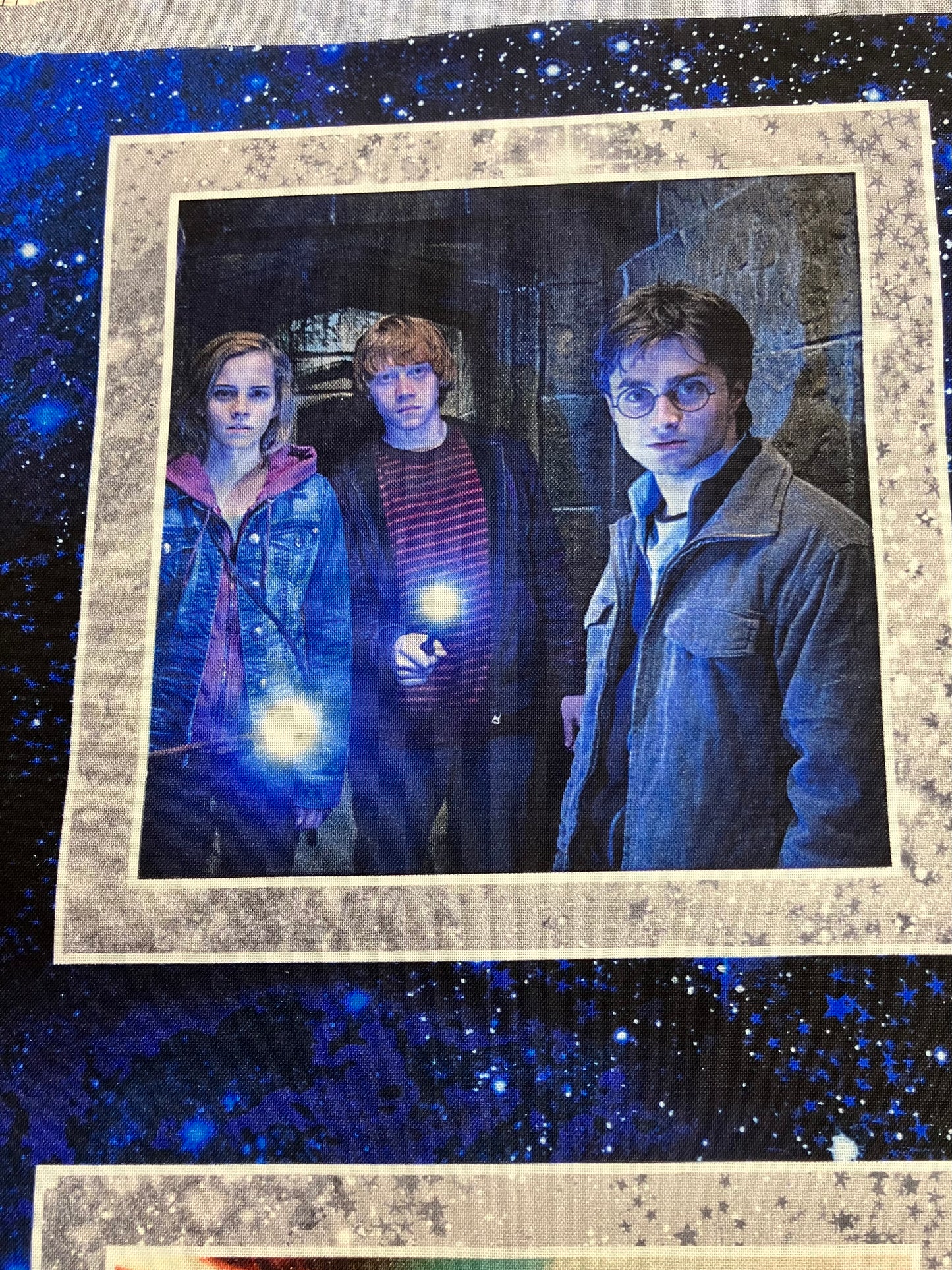 Harry Potter - Cotton Panel