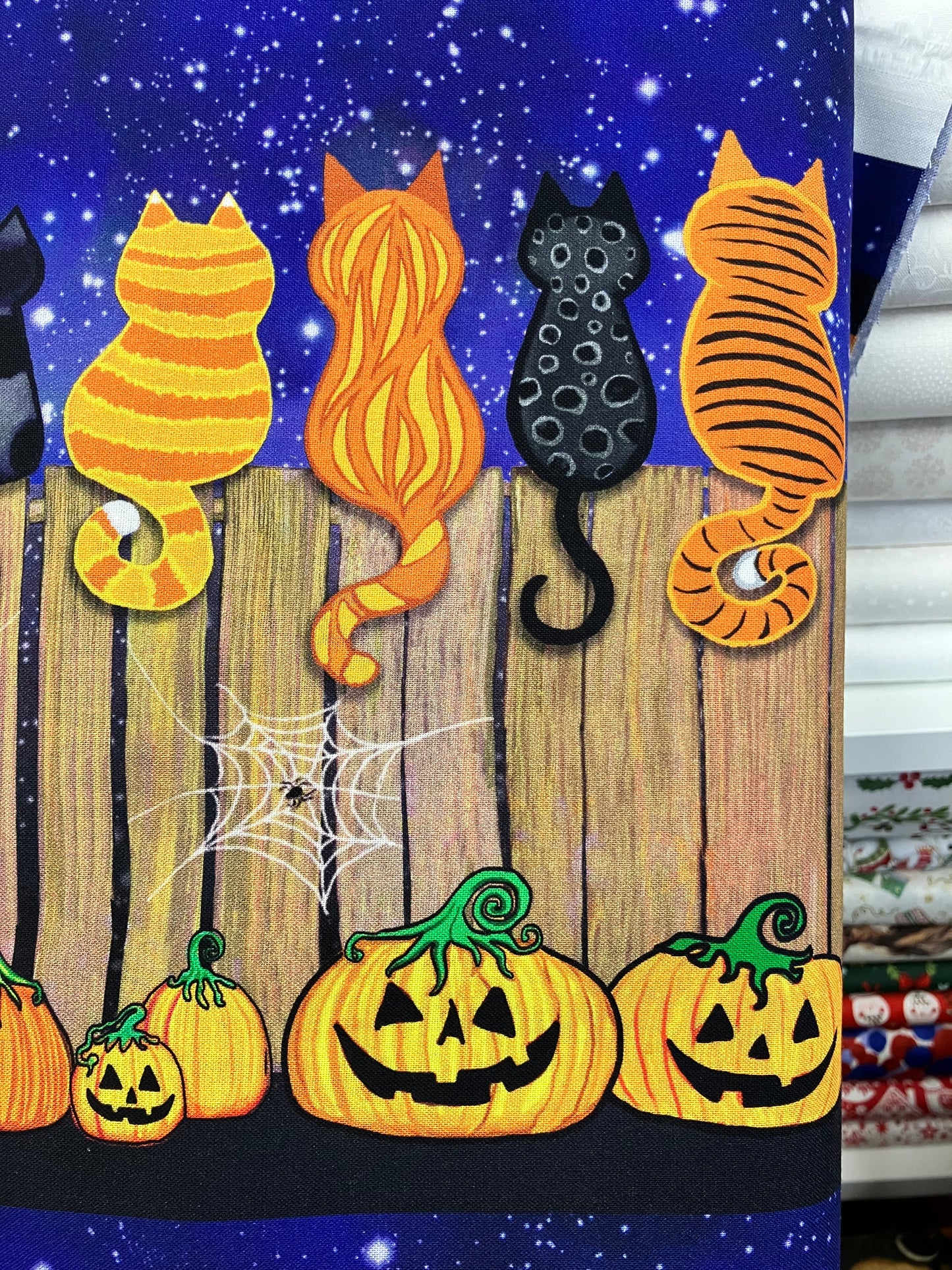 Spooky Cats On A Fence