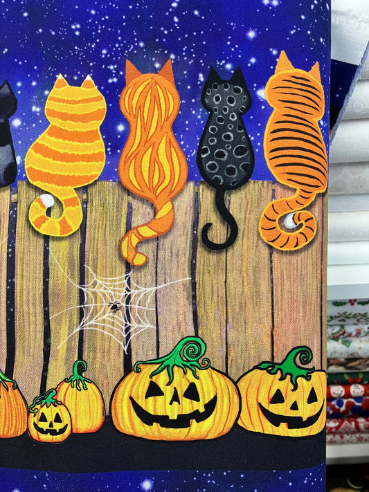 Spooky Cats On A Fence