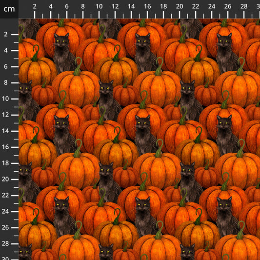 Harvest Haunt - Pumpkins and Bats