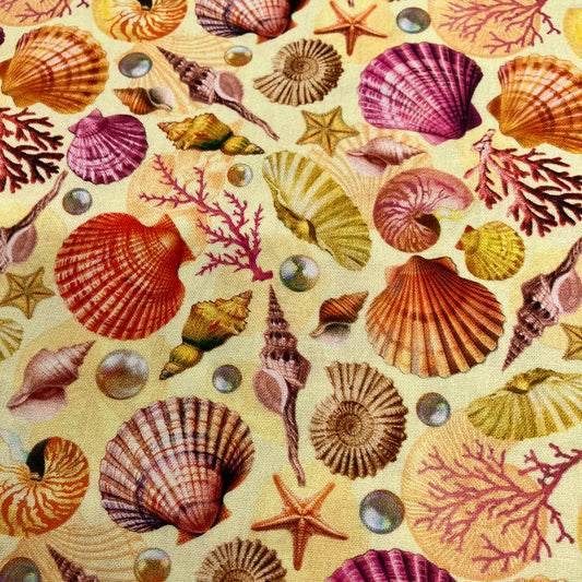 Divine Oceania -Shells - Butter