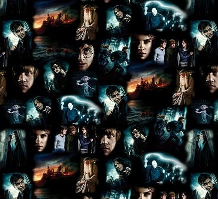 Harry Potter - Moments