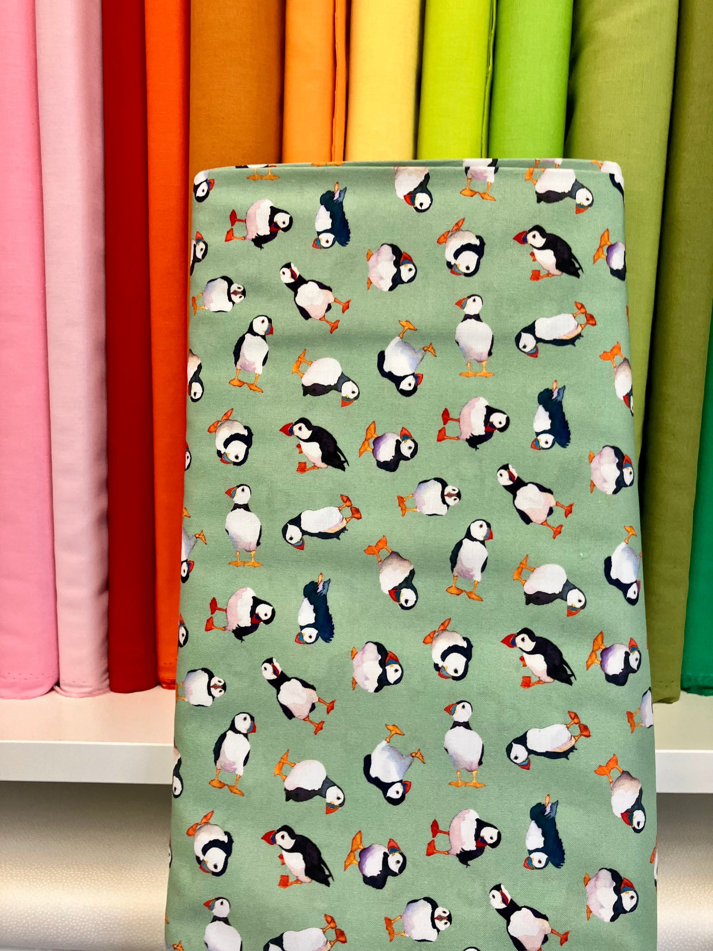 Puffins