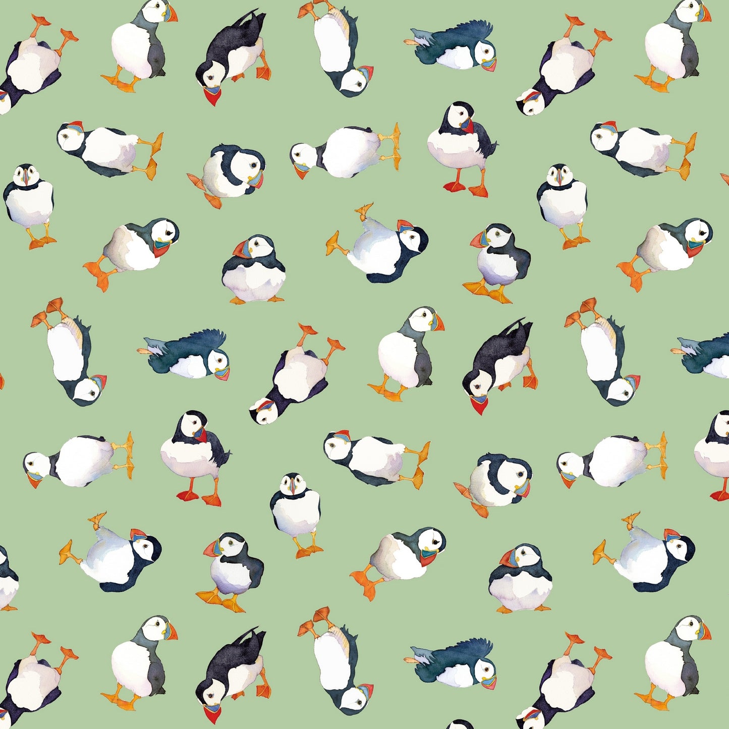 Puffins