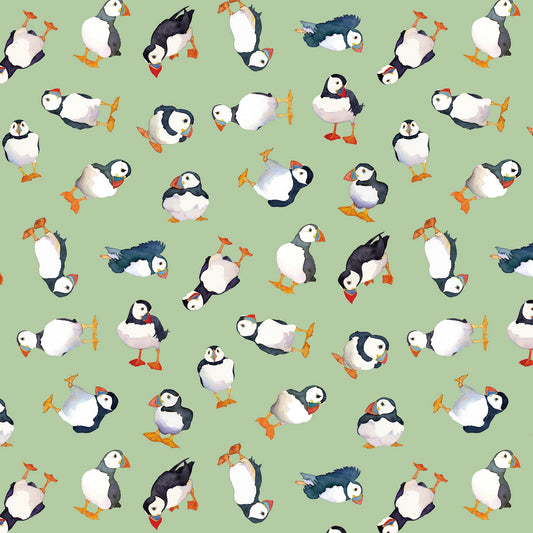 Puffins