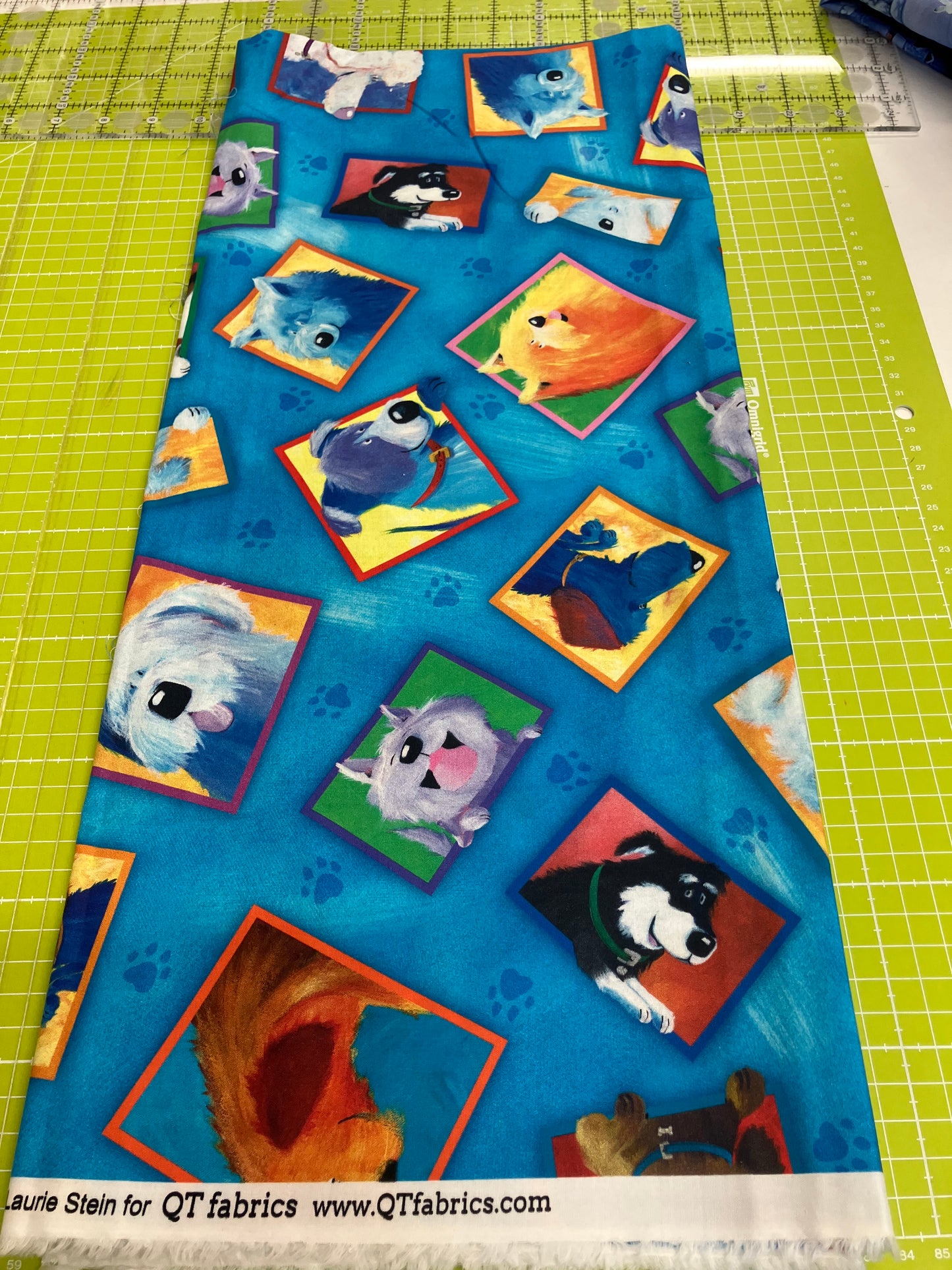 REMNANT 97cm - Dog Talk