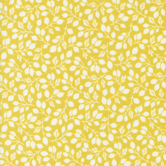Portofino - Citron