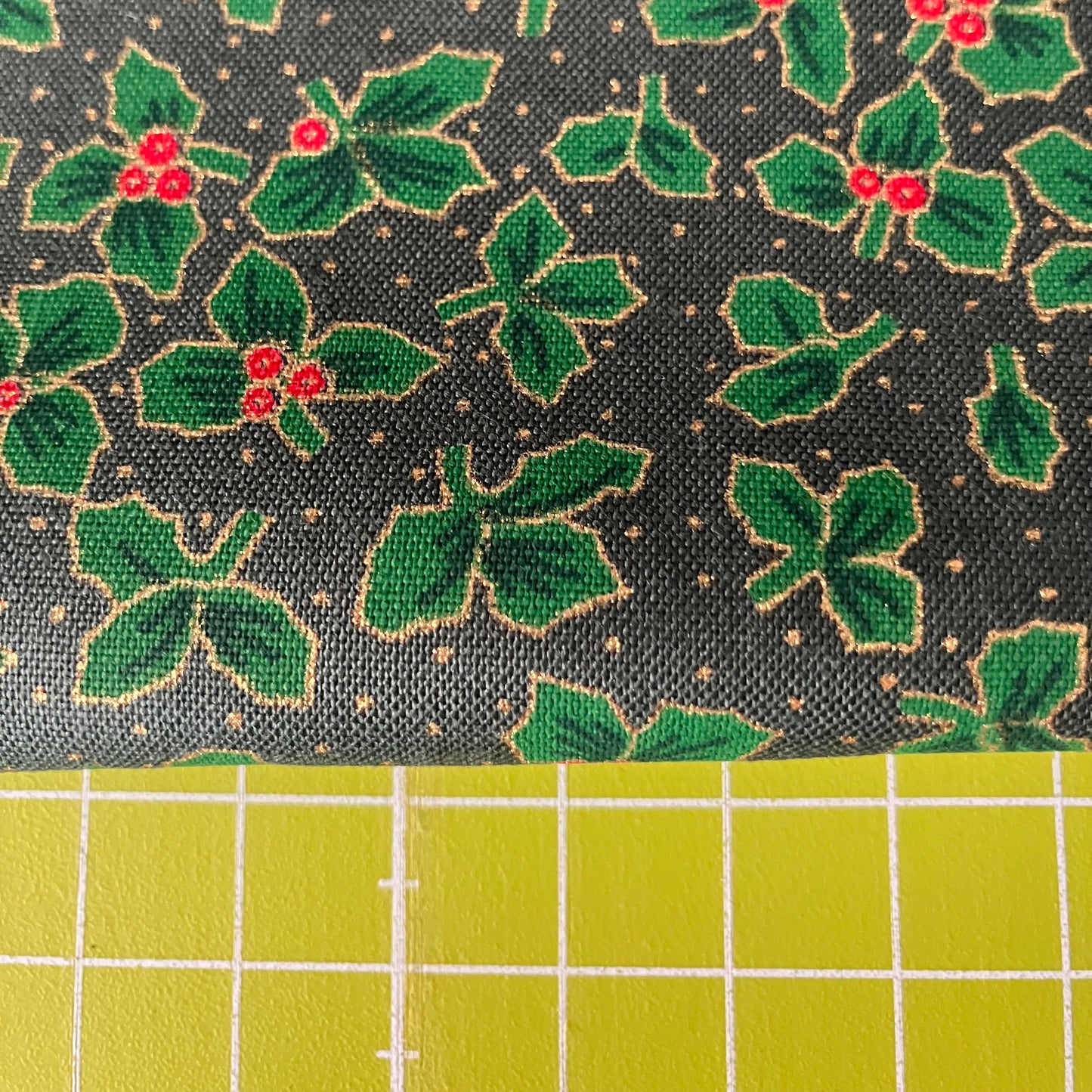 Holly - Green Background