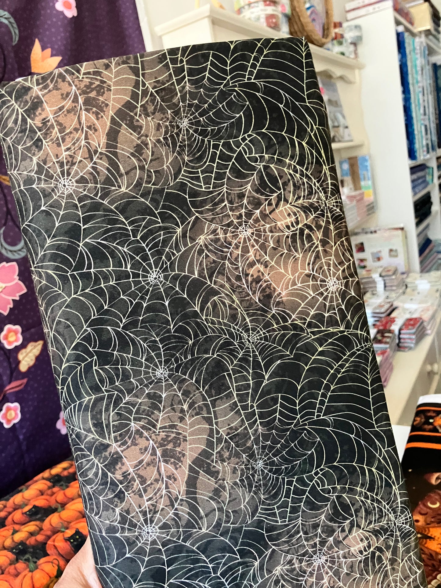 Harvest Haunt - Spider Web