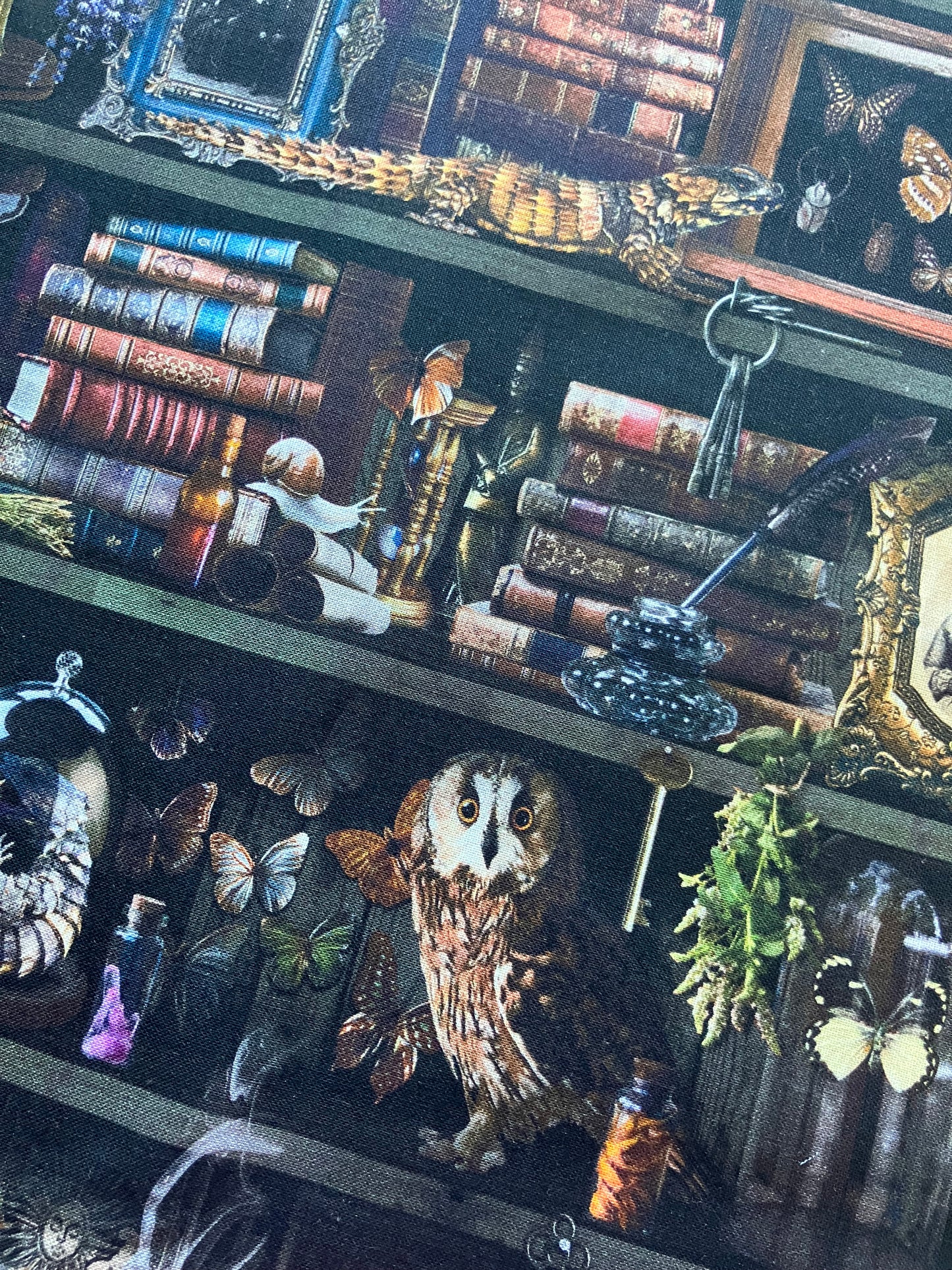 Witch Apothecary Book Shelf