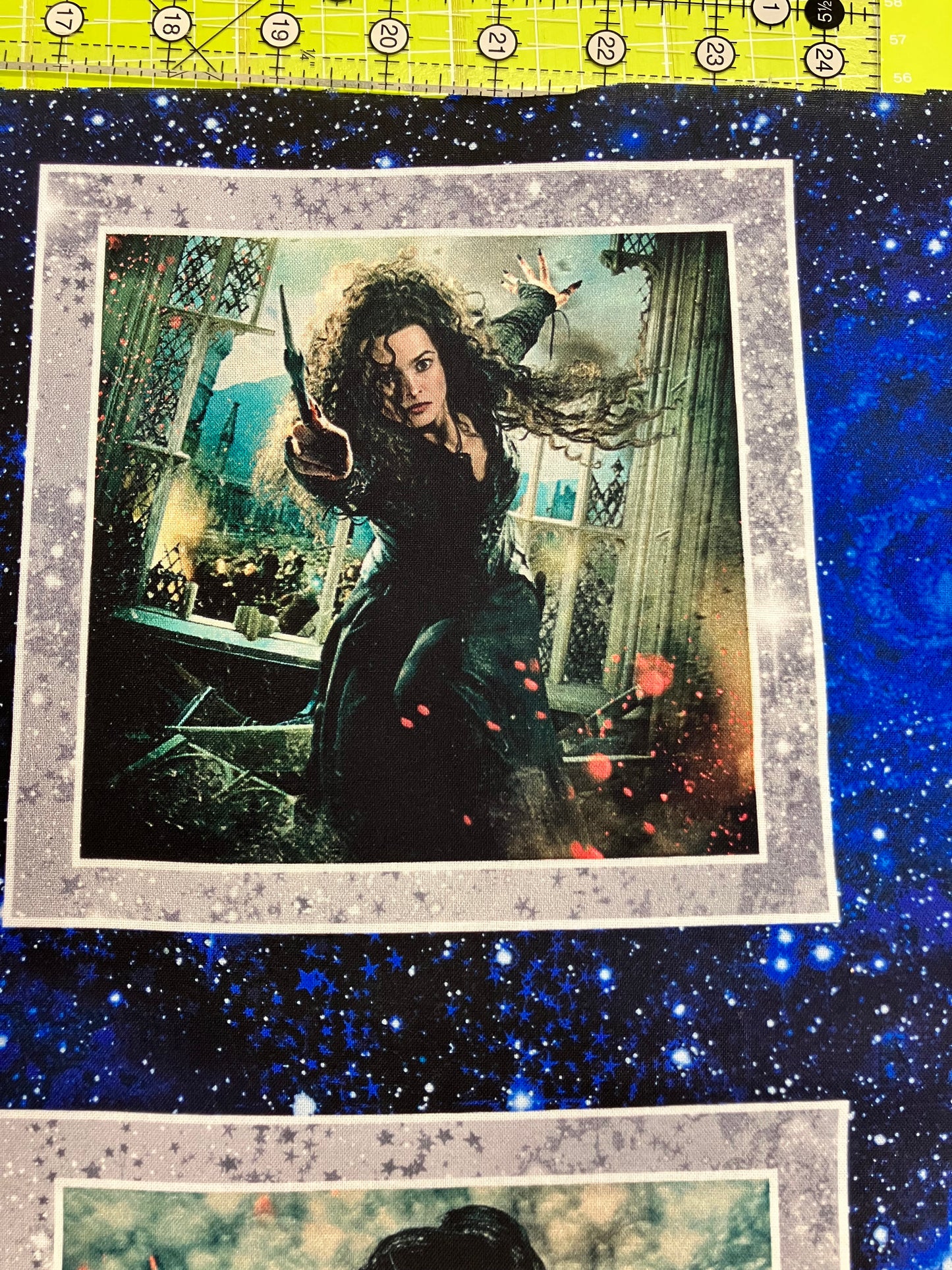 Harry Potter - Cotton Panel