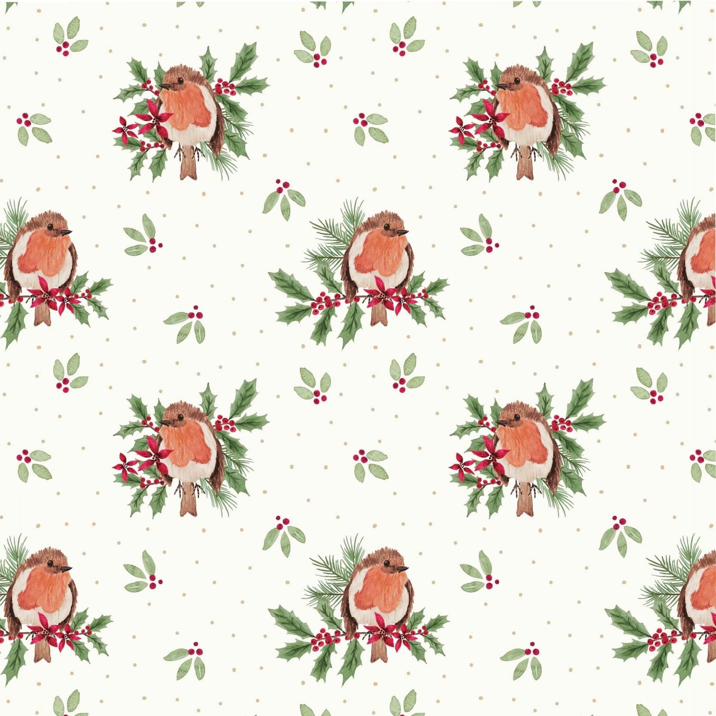 Merry Little Robin - Robin Redbreast