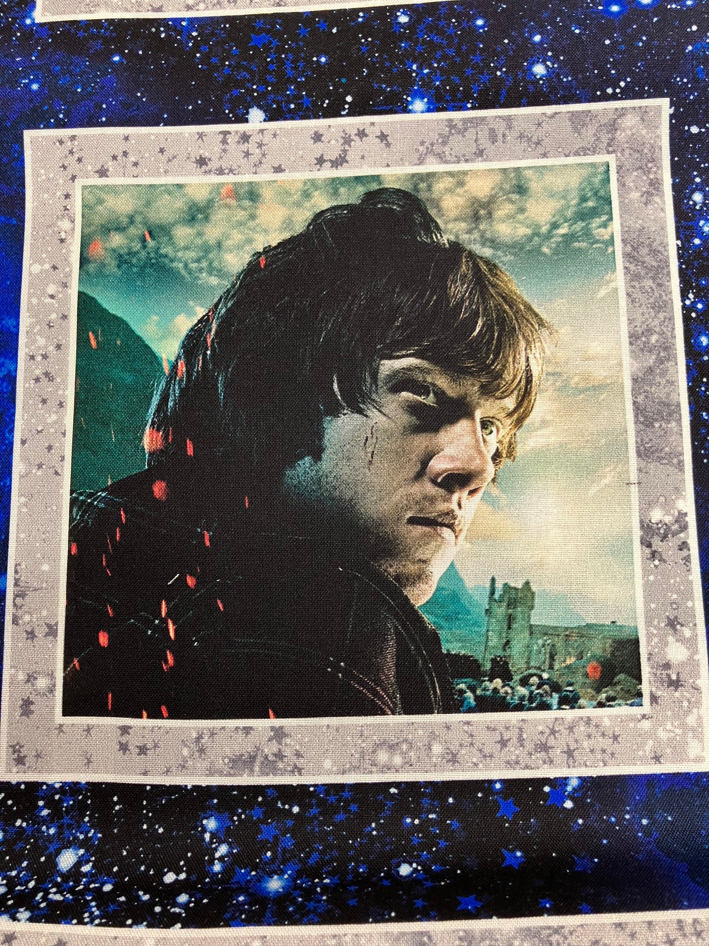 Harry Potter - Cotton Panel