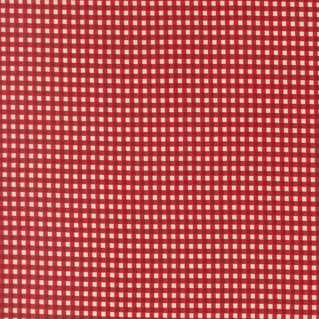 Tiny Red Gingham
