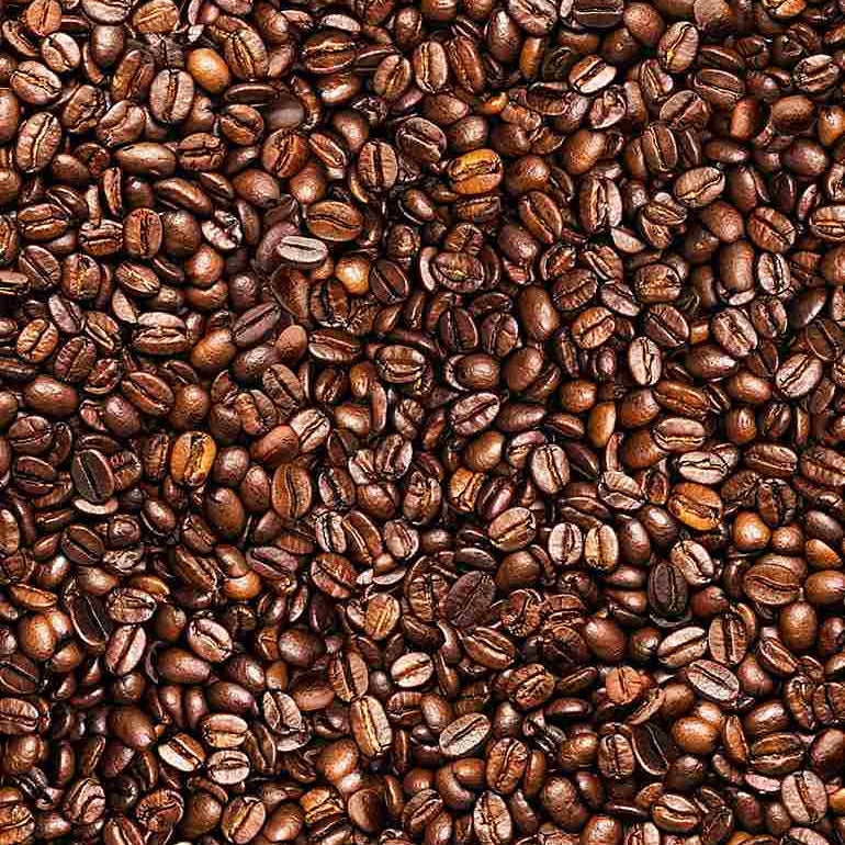 Barista Half Metre Bundle