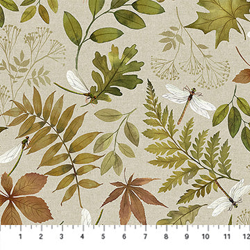 Natural Elements - Ferns and Leaves