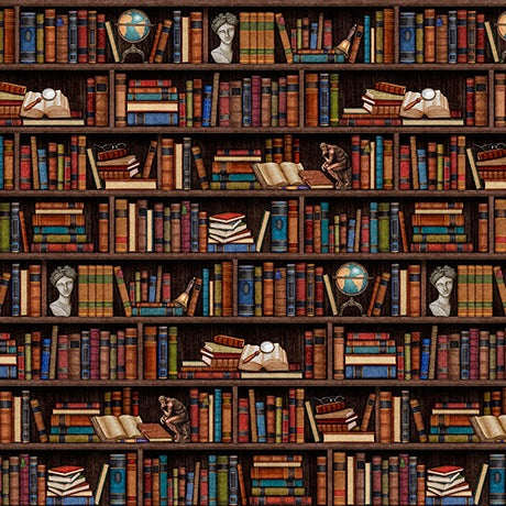 Library Book Shelf Stripe