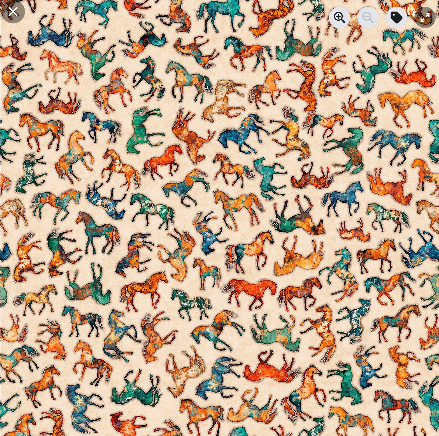 Born to Run - Horse Silhouettes