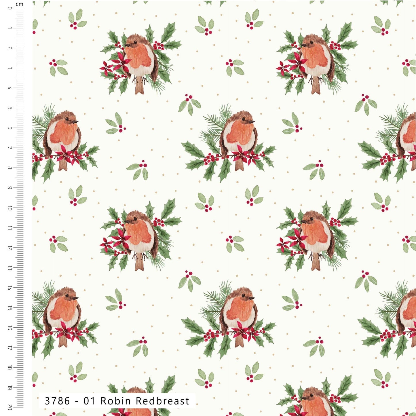 Merry Little Robin - Robin Redbreast