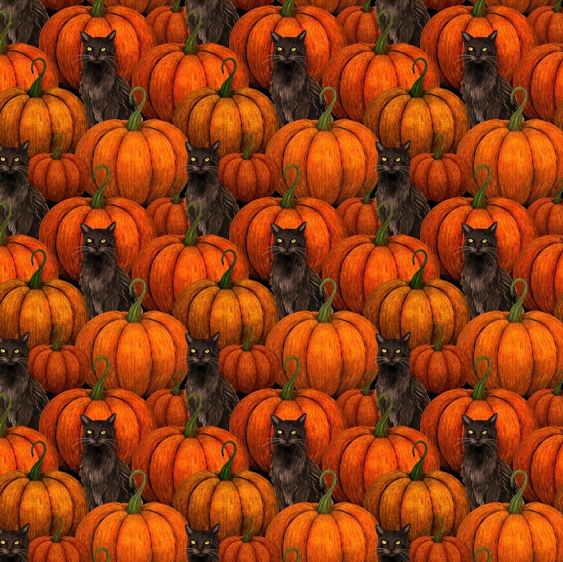 Harvest Haunt - Pumpkins and Bats