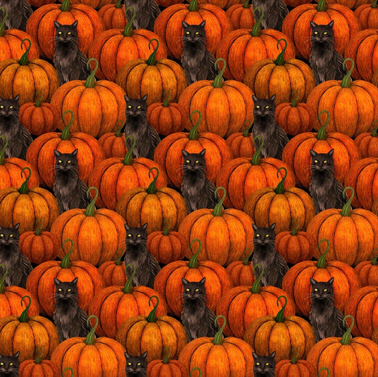 Harvest Haunt - Pumpkins and Bats