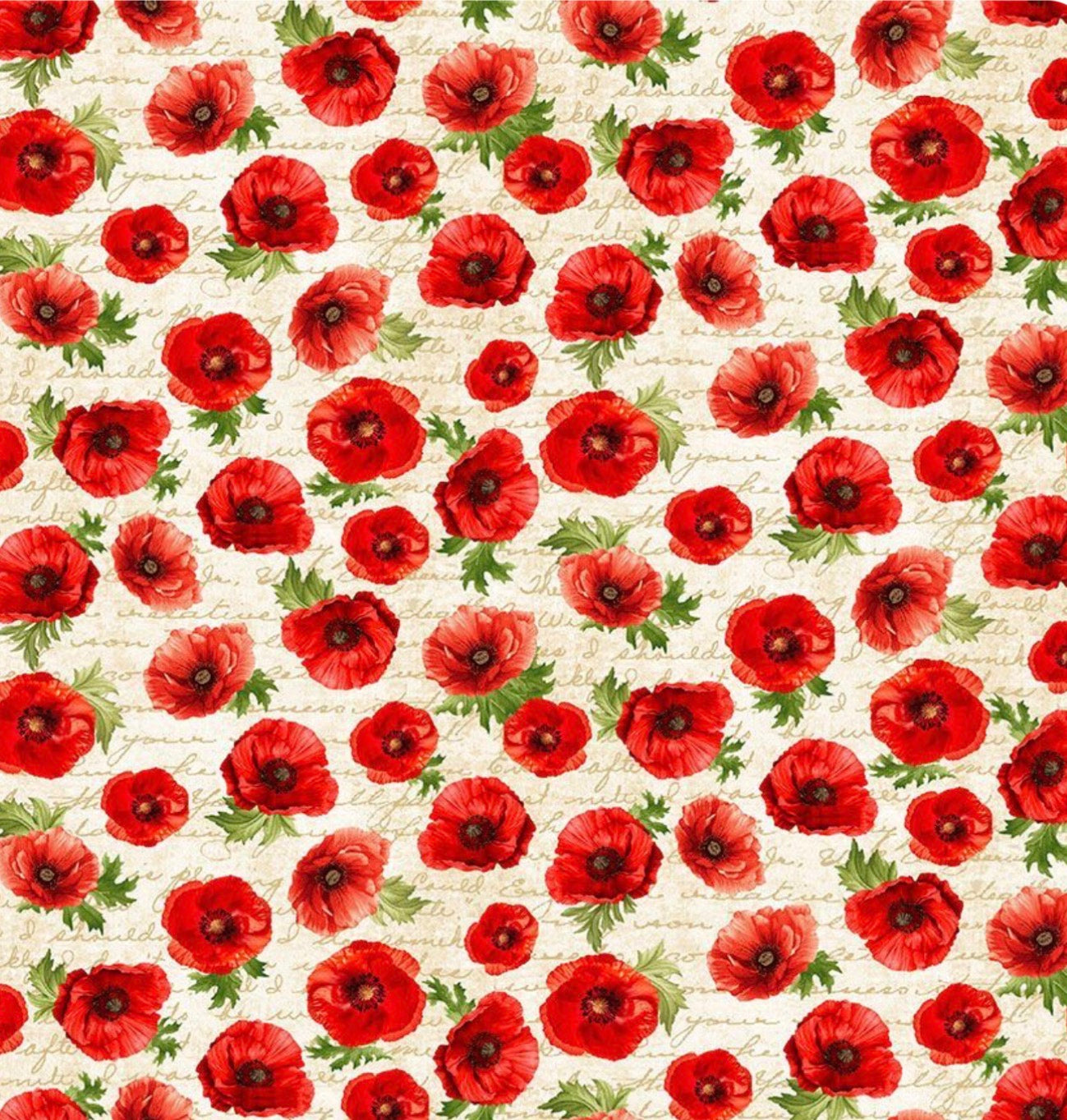 Poppies on Script - Cream