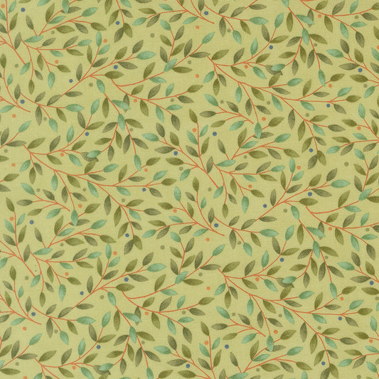 Family Tree - Eucalyptus