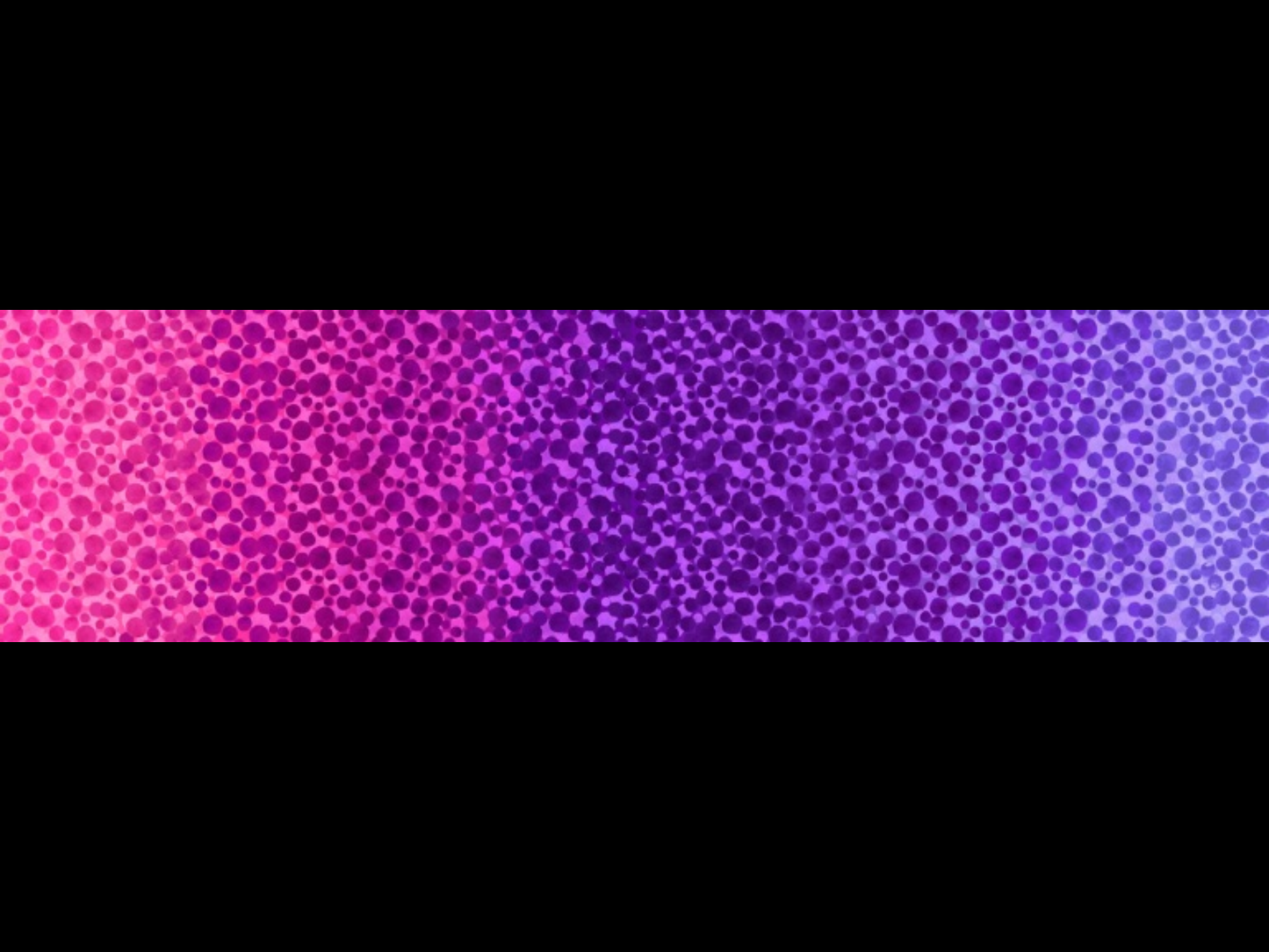 Bumbleberries Pinky Purple Ombre