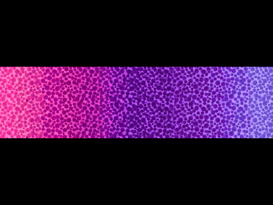 Bumbleberries Pinky Purple Ombre