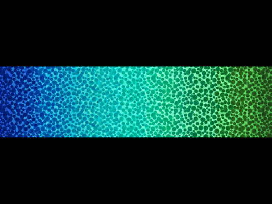 Bumbleberries Ocean Ombre