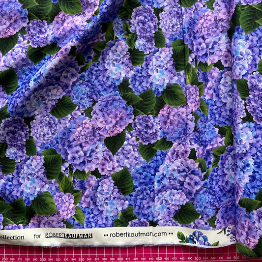 Hydrangea Grace - Lavender