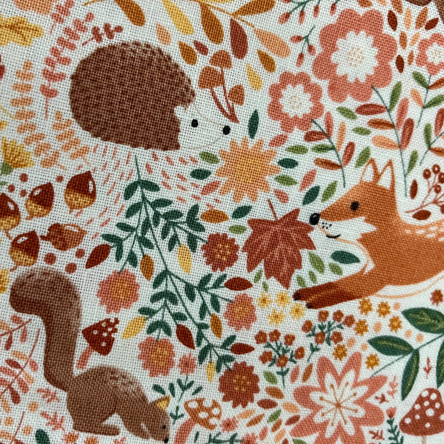 Hello Autumn - Wild Wood - Cream