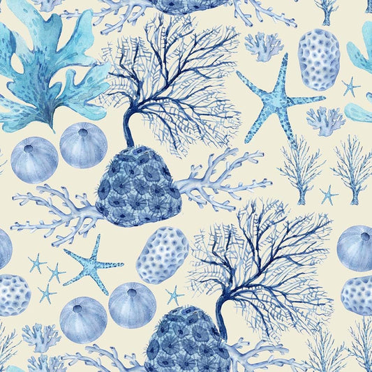 Seaside Swim - Shell Reef