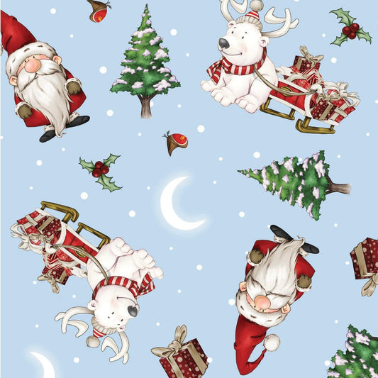 Driving Gnome for Christmas - Santa Sleigh