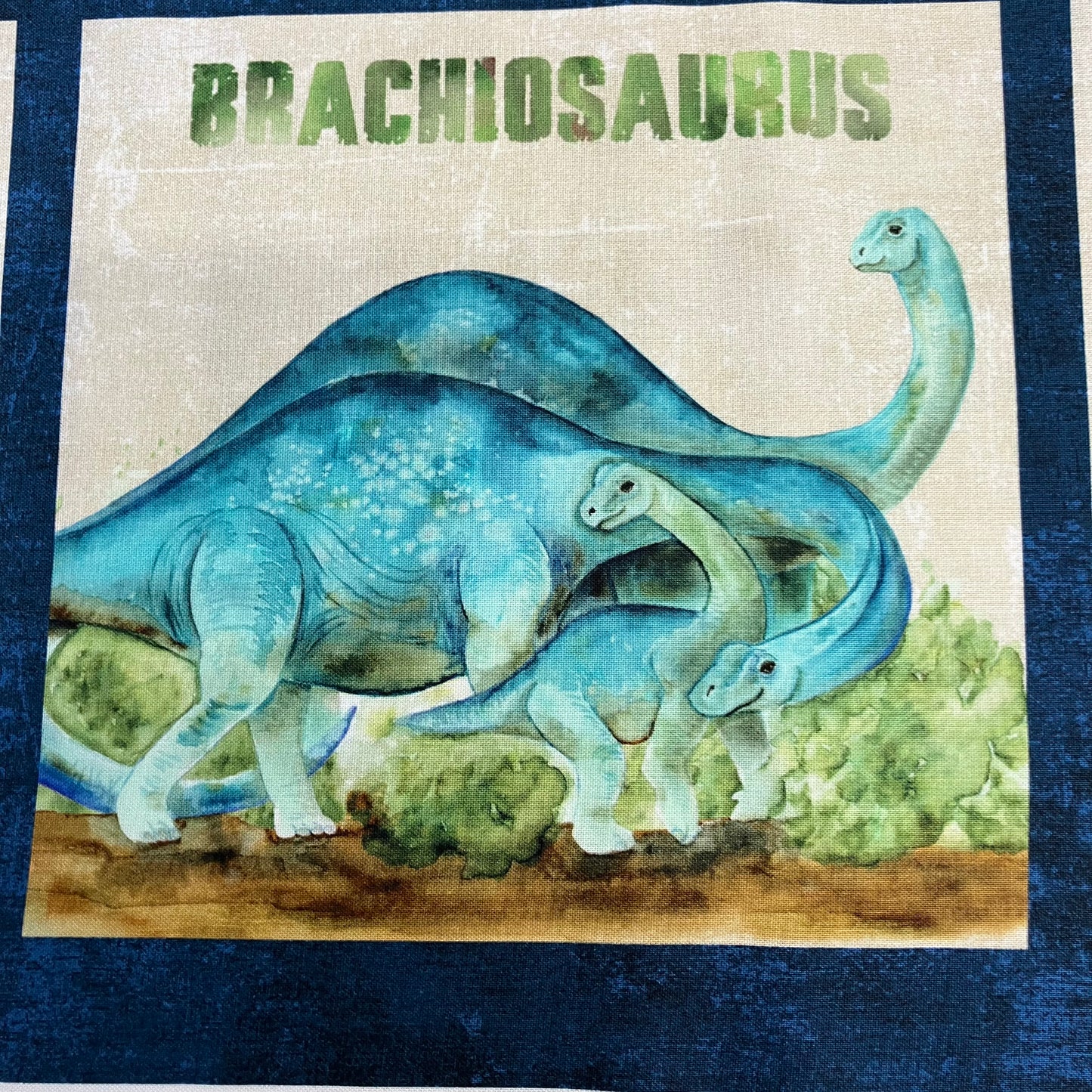 Dino Roar - Dinosaur Cotton Panel