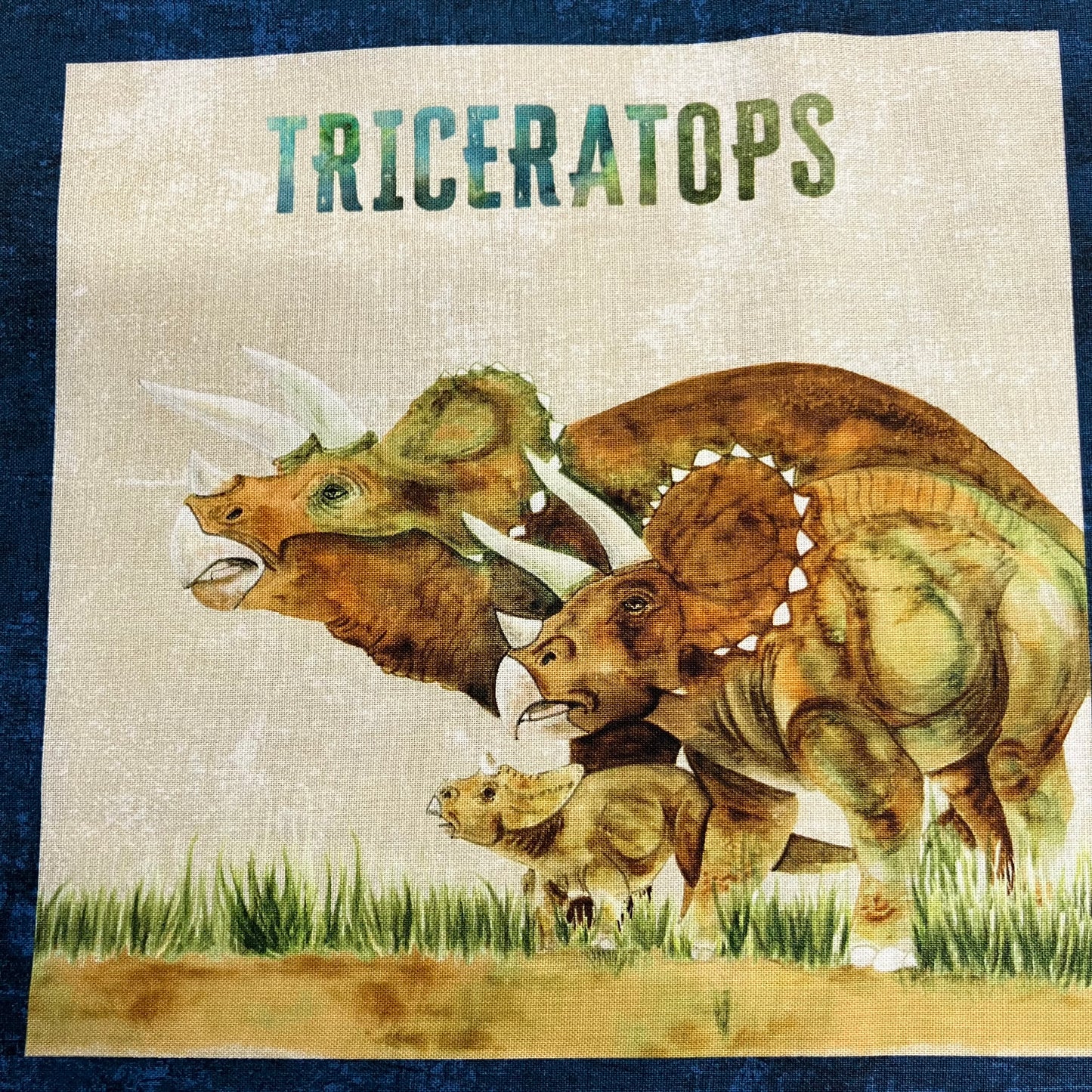 Dino Roar - Dinosaur Cotton Panel