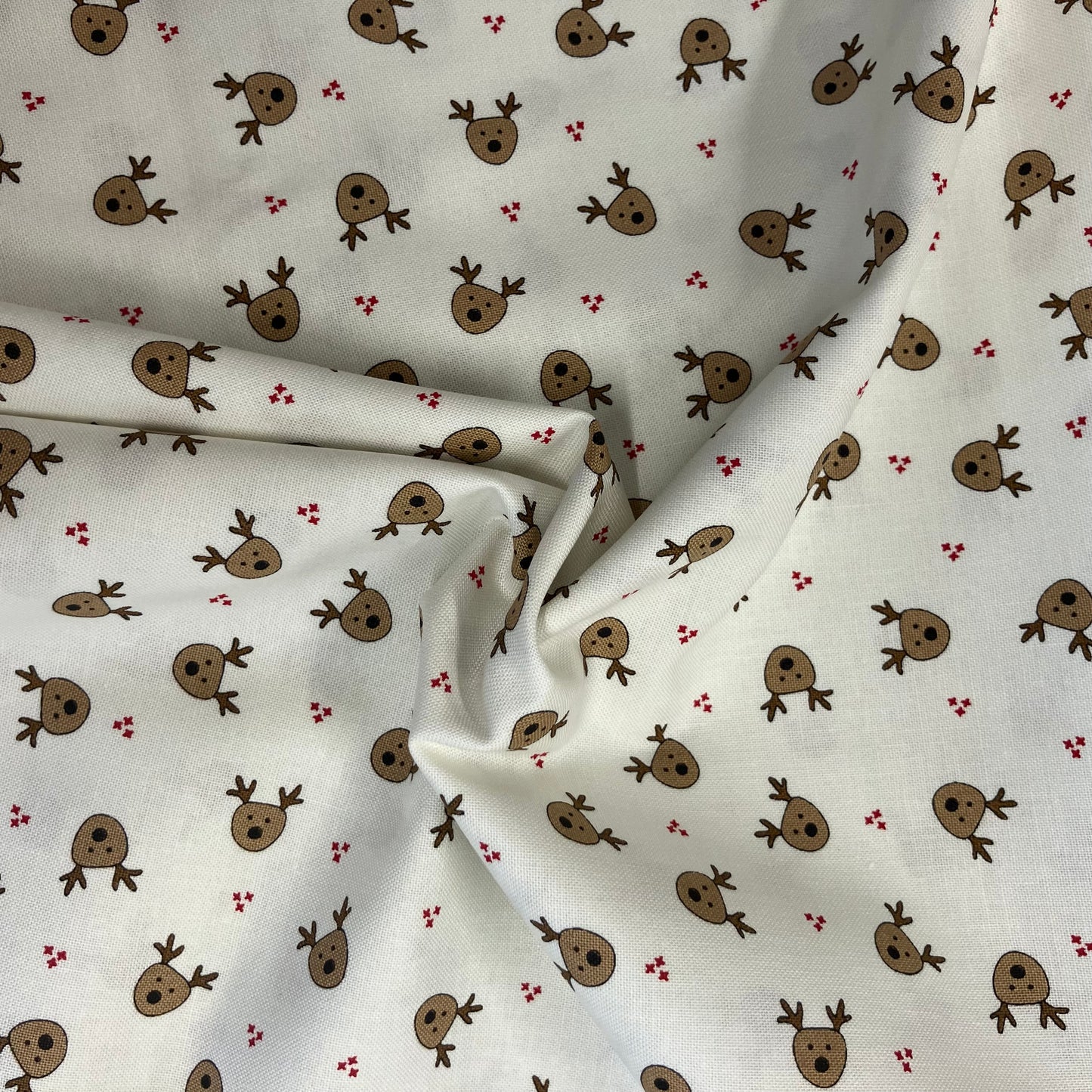 On Dasher - Reindeer