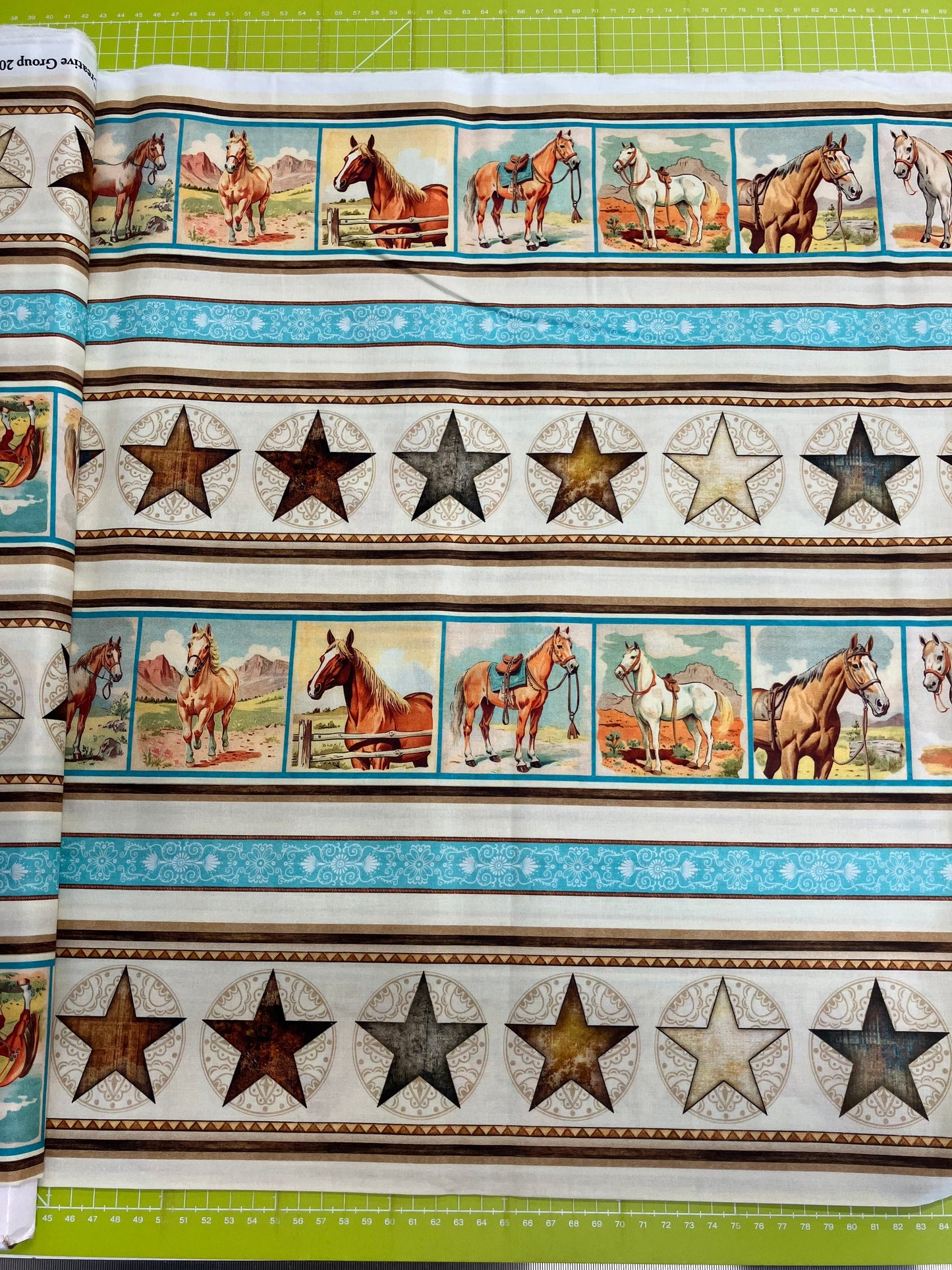 Hey Cowgirl - Horse Stripe