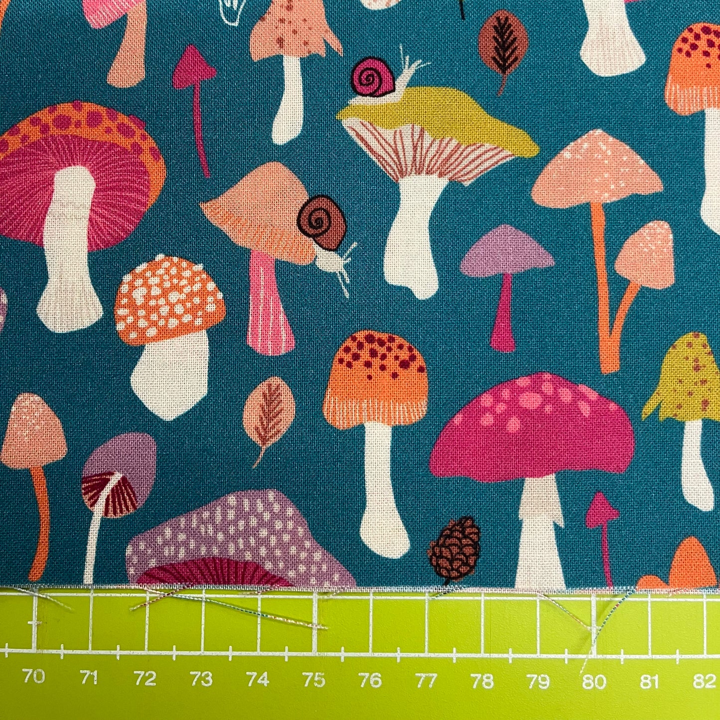 Woodland Wander - Toadstools