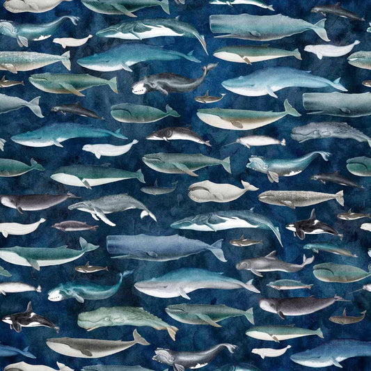 Siren's Call - Whale Pod