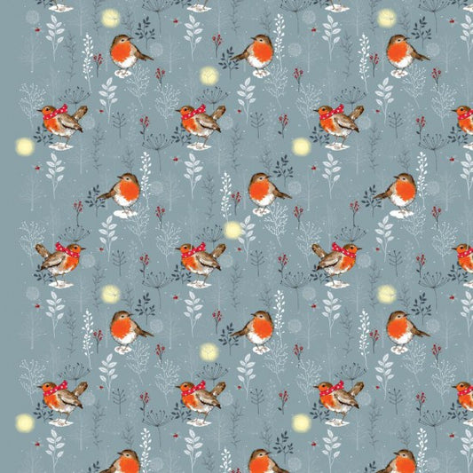 Winter Robins