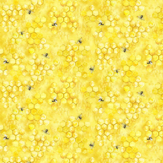 Honey Bee Farm - Bee on Honeycombs