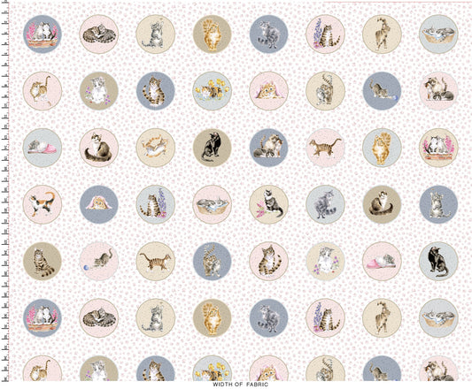 Whiskers and Paws - Cats