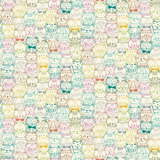 Whiskers - Cat Portrait