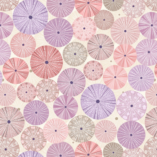 Chalki - Natural Sea Urchin Shells On Light Sand