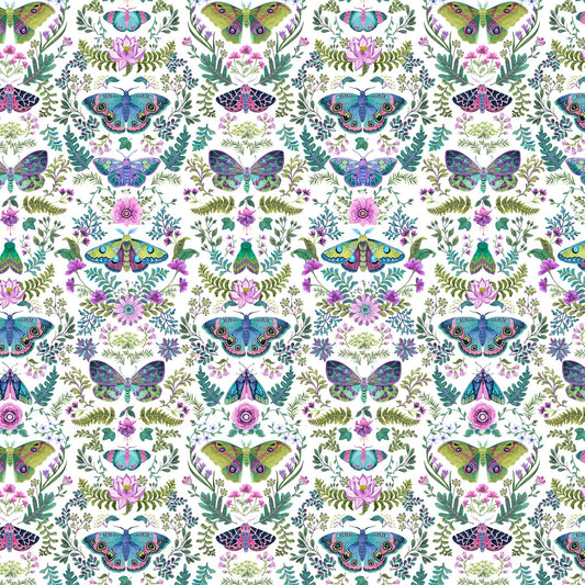 Nightshade - Moths and Flora - white background