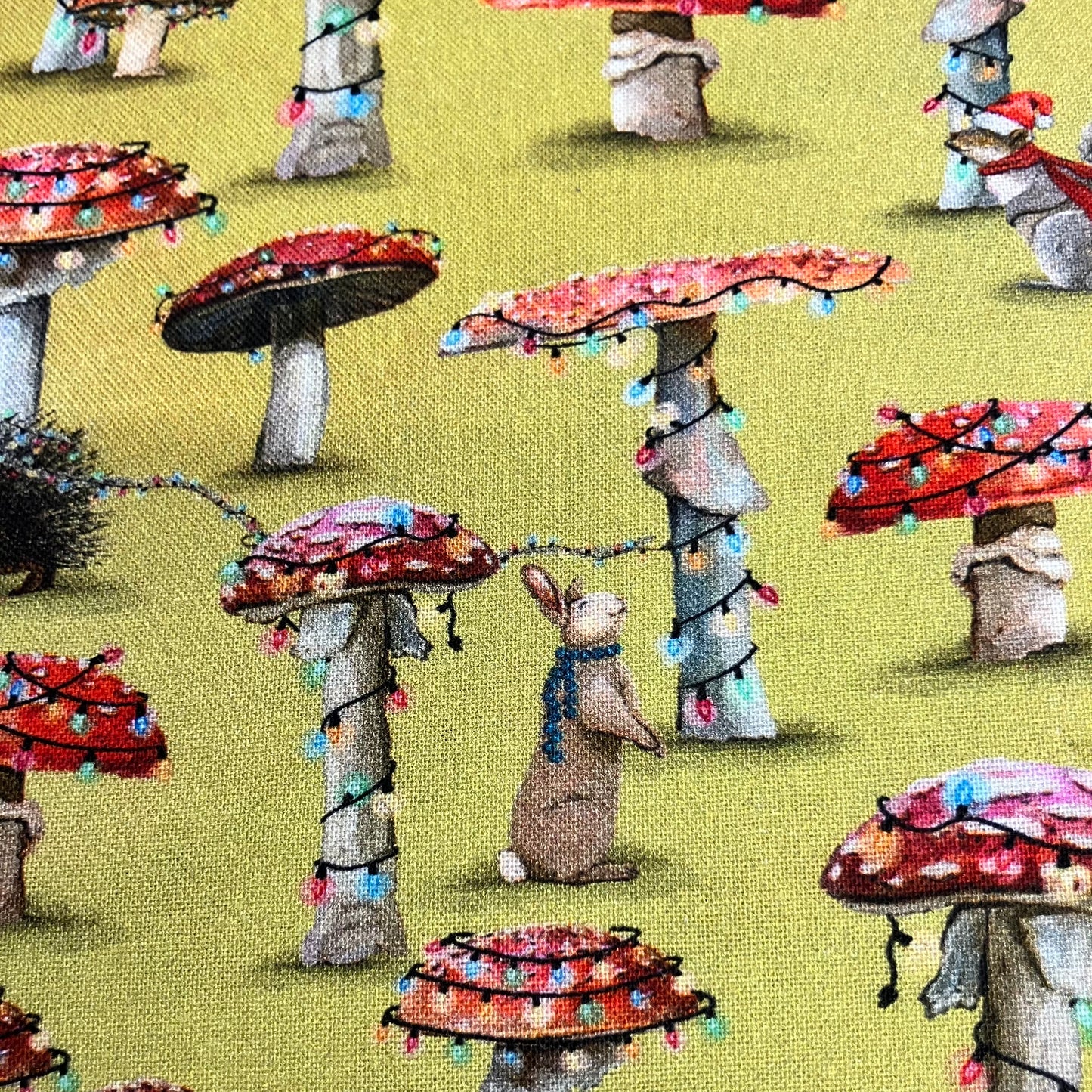 Festive Toadstools