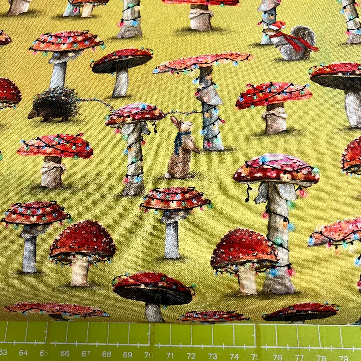 Festive Toadstools
