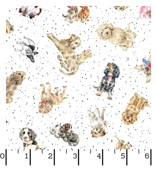 Whiskers and Paws - Dogs